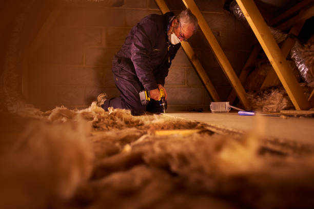 Best Insulation Materials and Products in Wellton, AZ